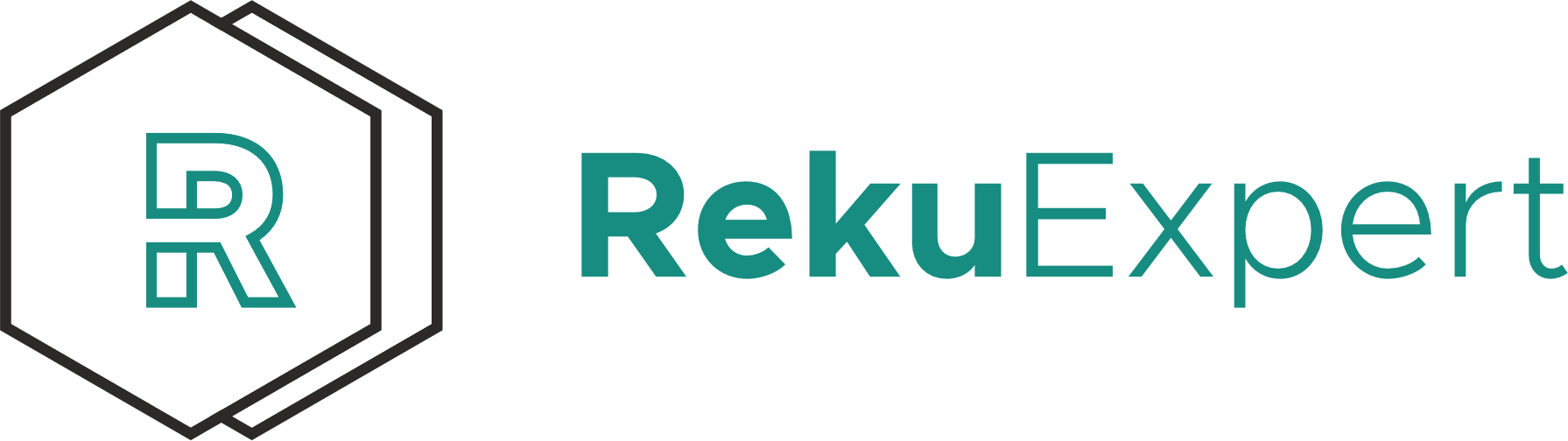 RekuExpert_logo-bez-tla-2